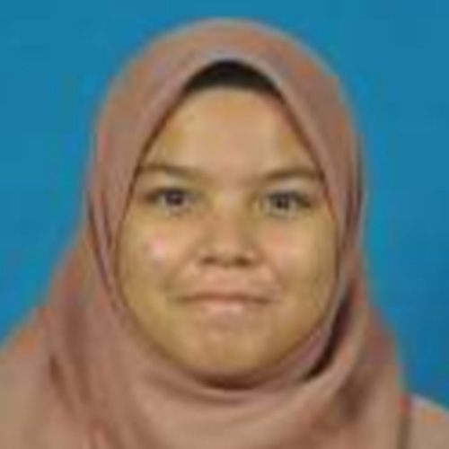 Chemical Engineer